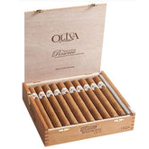 Oliva Connecticut Reserve Series Churchill